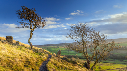 Custom Suit Shop in Chorley Lancashire